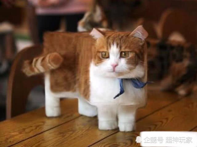 我的世界也难逃p图大神之手,方形猫咪可爱至极,牦牛不忍直视!