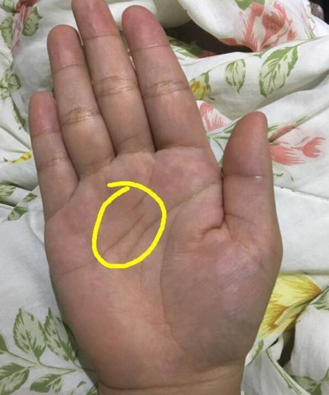 麻衣神婆手相图解:一生婚姻幸不幸福?这条手纹告诉你!