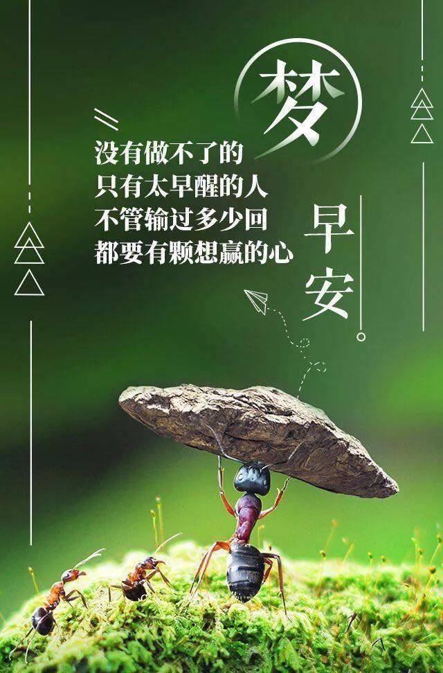 早安心语积极向上的正能量句子