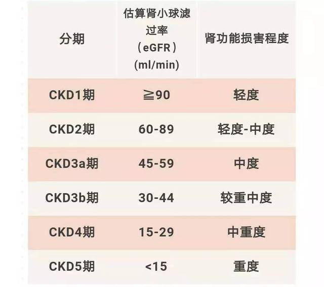 慢性肾病的严重程度怎么分期?