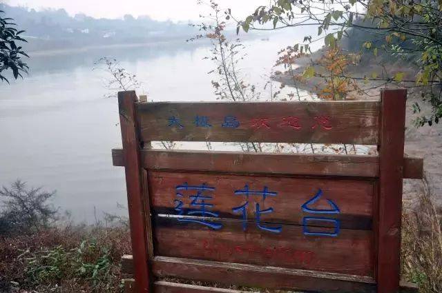 探秘长寿湖太极岛,养心,养生好去处!