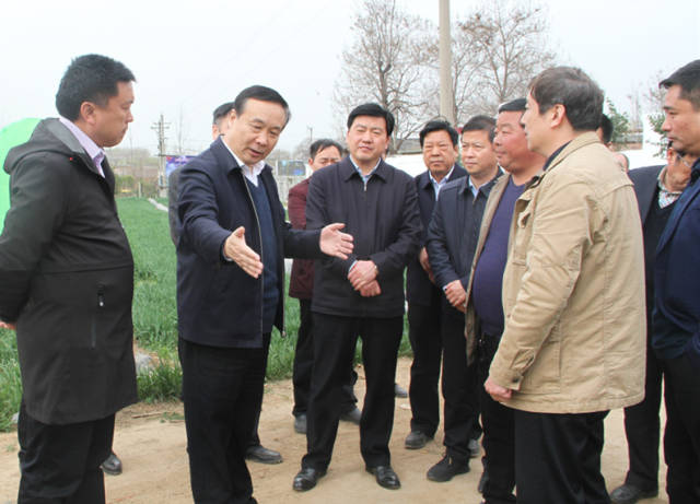 许昌副市长楚雷带领许昌观摩团莅临我市观摩国土绿化工作