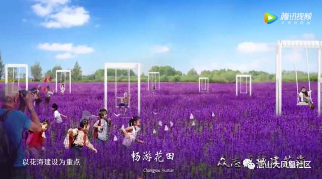 提前带唐山人:看"唐山花海",游"开平东湖"