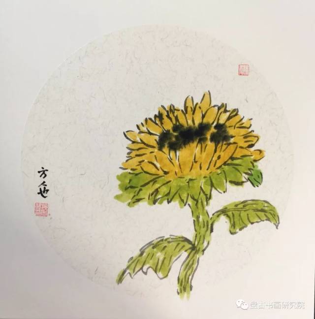 晓照教国画·彩墨小品·写生花卉~向日葵