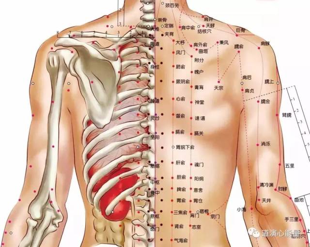 推拿秘籍|《脏腑图点穴法》脏腑推拿的秘本技法