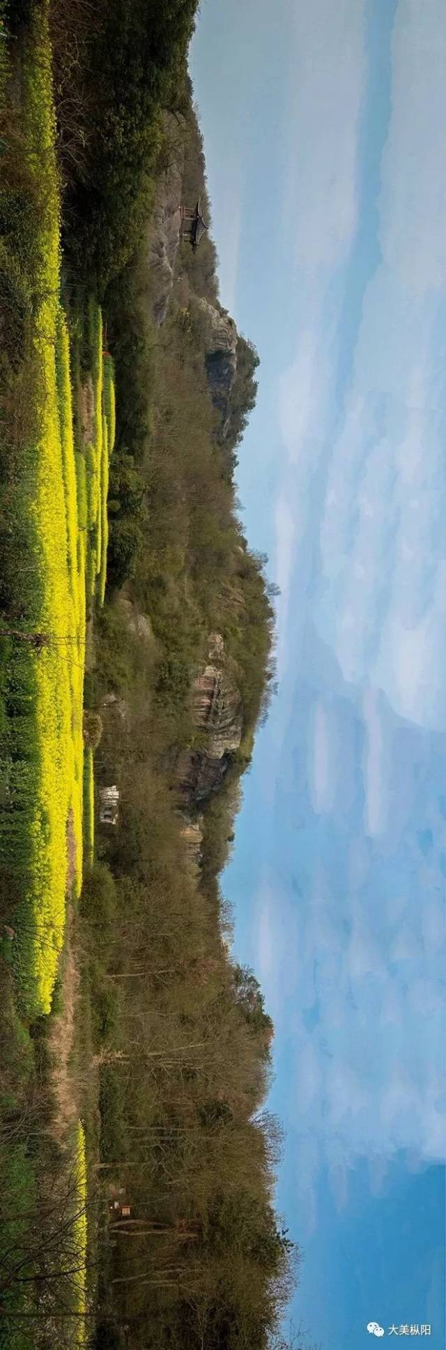 枞阳油菜花旅游宣传推广周期间,浮山景区将免费对全国游客开放!