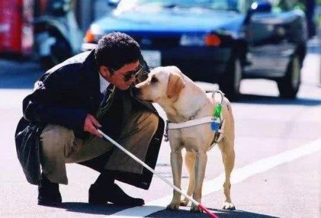 盘点那些和狗相关的5部电影,看过3部算你厉害