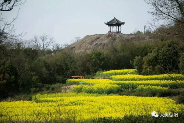 枞阳油菜花旅游宣传推广周期间,浮山景区将免费对全国游客开放!