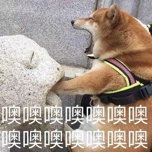 【叮】马住这几个表情包收割场,包你一生荣华富贵:)