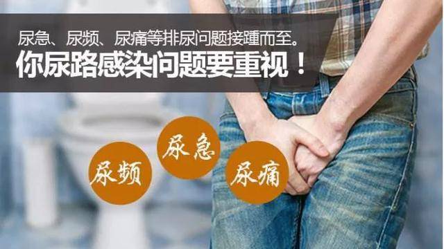 女性为什么容易发生尿路感染?还有没有其他原因?怎么预防?