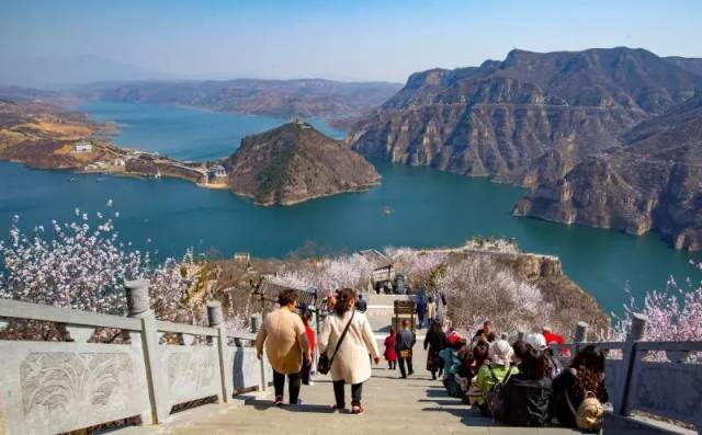 绿芽吐珠 漫山遍野,遍野满山 (网络图片) 船游黄河三峡  桃花岛上赏