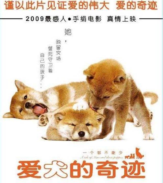 盘点那些和狗相关的5部电影,看过3部算你厉害