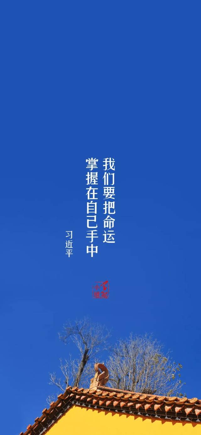 我将无我,不负人民!我们把习近平的金句做成了手机壁纸