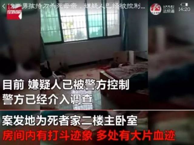 "杀掉我妈后,我在餐厅坐了40个小时" | 13岁少年杀母真相让人深思
