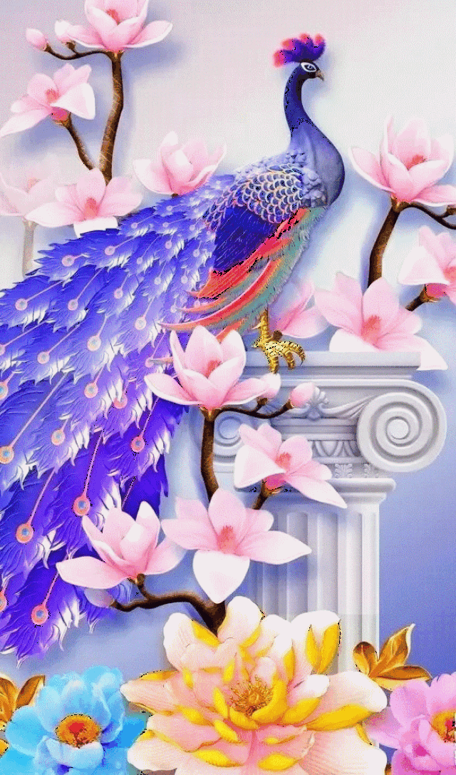 587_997 竖版 竖屏