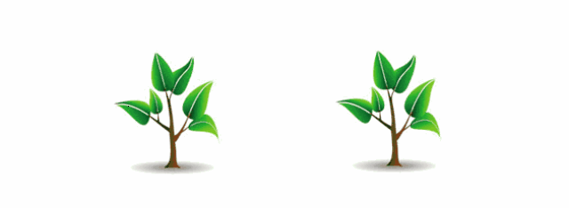 东阳青联,网联,创联联合开展