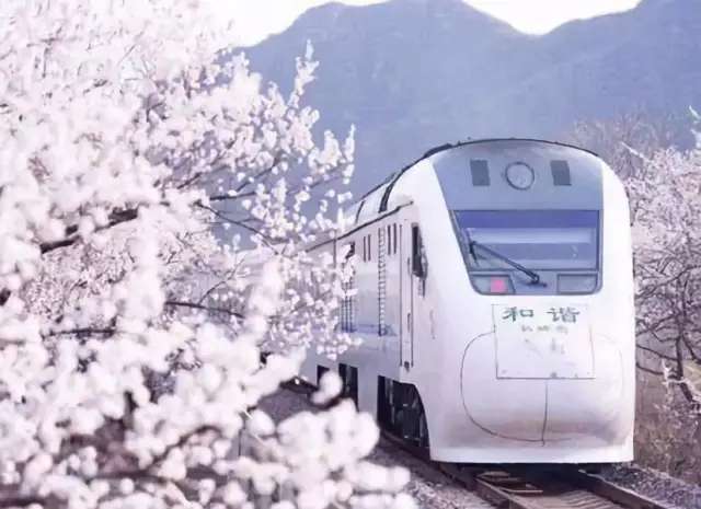 不负春光~开往春天的列车,启程!