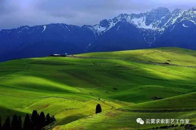 春季萨尔布拉克牧民转场,峡谷草原,沙漠人文摄影美食之旅