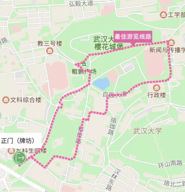 "樱"你而美 ~~武汉樱花季,约?