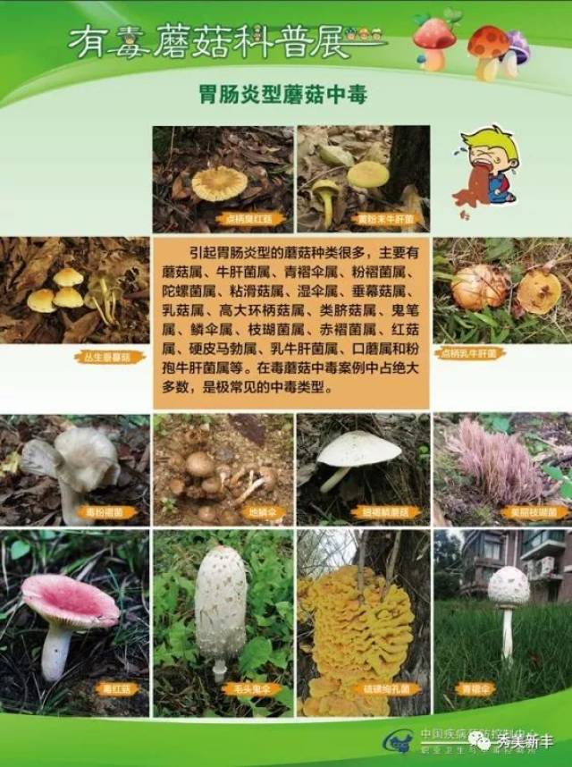 县疾控中心开展"毒蘑菇,有毒植物"科普知识宣传