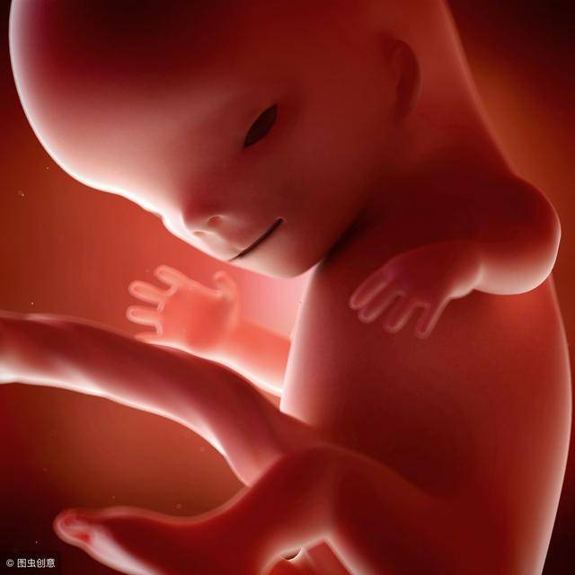 胎儿1-40周的发育,见证受精卵到新生儿的成长,生命真的很神奇
