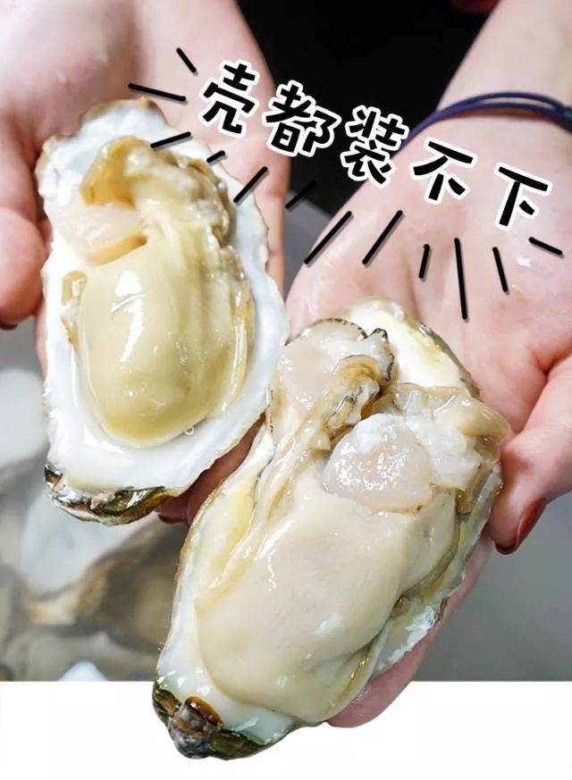 网红「高压锅生蚝」惊现松江!一整锅只要49.9元!