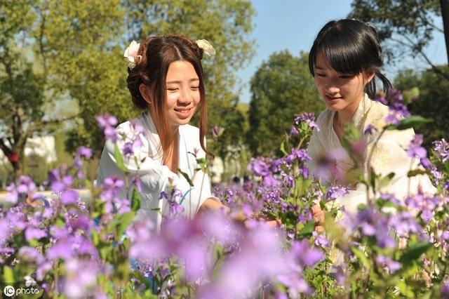 现代诗|花朝节的情怀