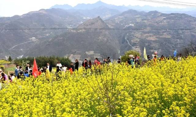 白河旅游文化节来袭!惊艳安康,粉红花海刷爆朋友圈!