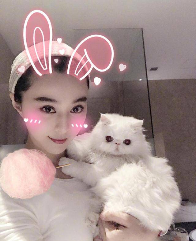 罗志祥的猪,赵丽颖的仓鼠,范冰冰的猫,都没有李