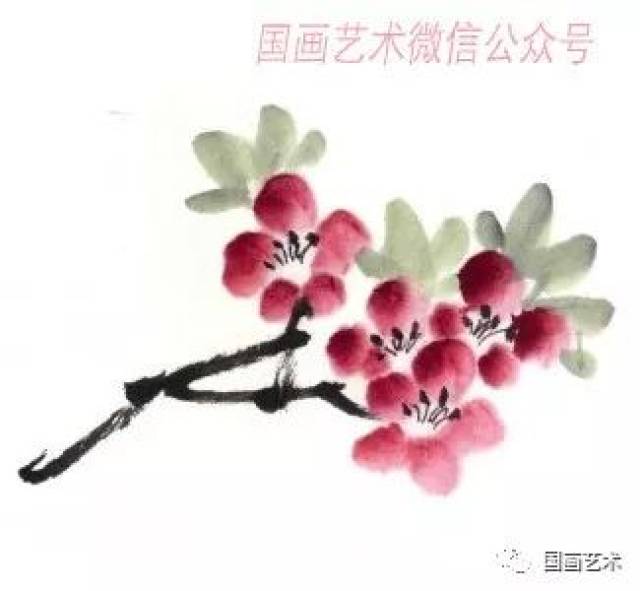 图文教程:杏花的画法解析