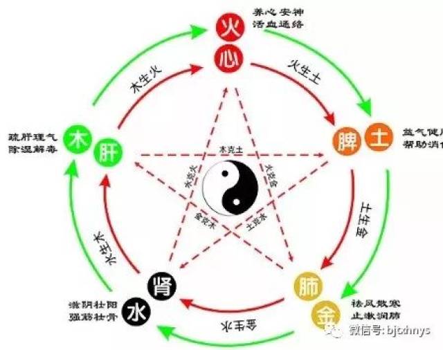 肝为魂之处,血之藏,筋之宗,主升主动生理功能