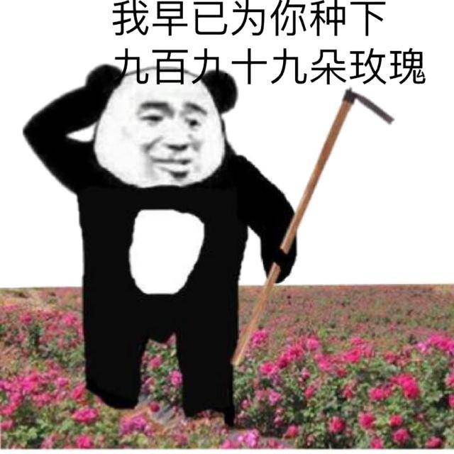 多说无益榨干我(熊猫头)