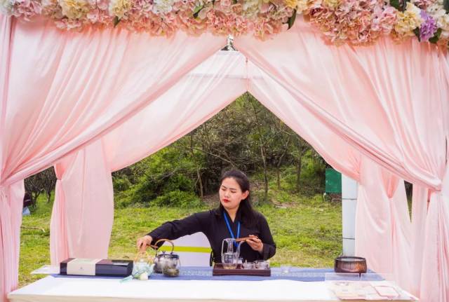 花间留连花下返"花朝节,遇见最美的你"圆满落幕