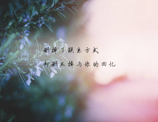 删掉了联系方式,却删不掉与你的回忆