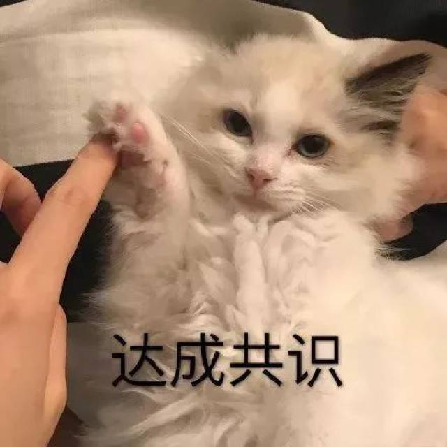 我的钢铁直男朋友被失恋的绿茶婊勾引,简直恶