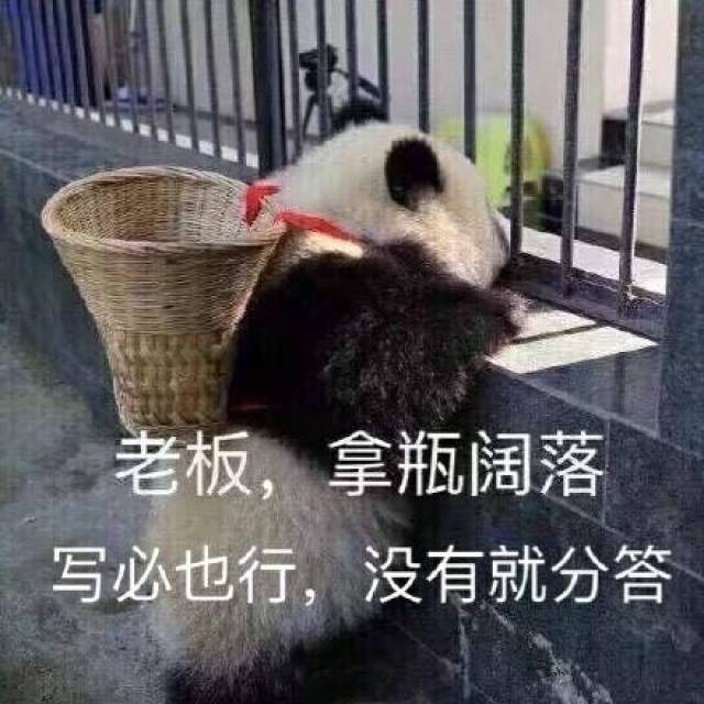 关于老板的表情包:老板,楼上这头猪怎么卖