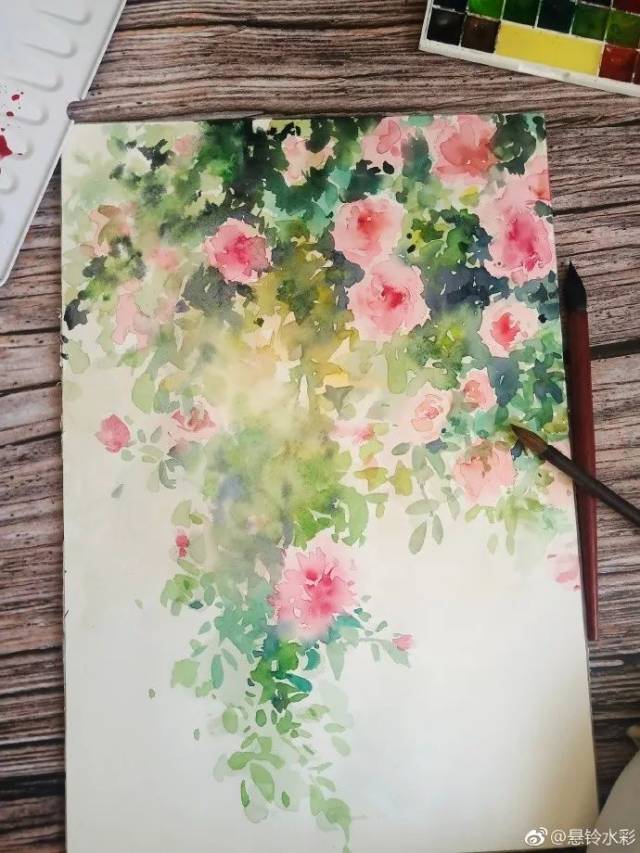 微博:@悬铃水彩 悬铃老师喜欢画蔷薇 花间意的同学们