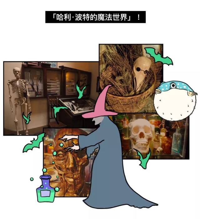 以前都是去剧场看截肢live的… 最近我去了一个巨魔幻的地方, 它在