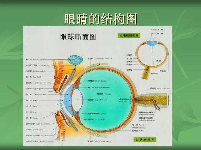 姑娘眼睛里长满密密麻麻"石头",只因这些习惯