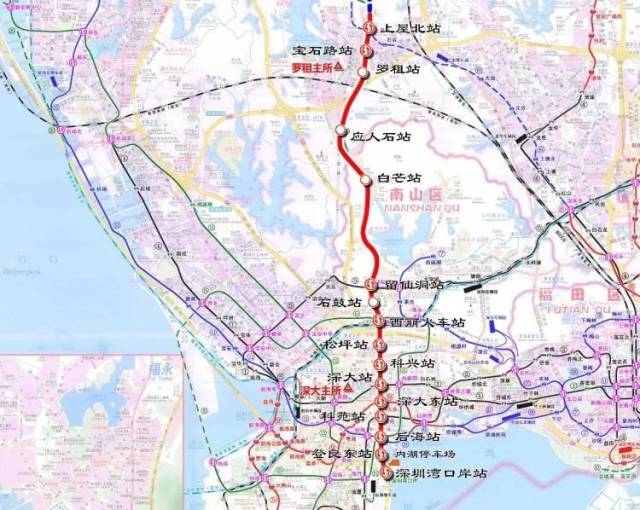 2019深圳龙岗半程马拉松赛3月31日开赛图片