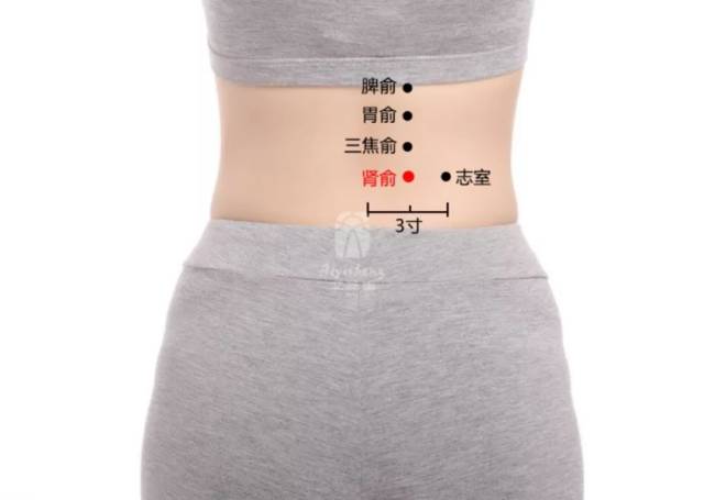 艾灸取穴: 肾俞穴,八髎穴,足三里穴,关元穴,气海穴,子宫穴,归来穴