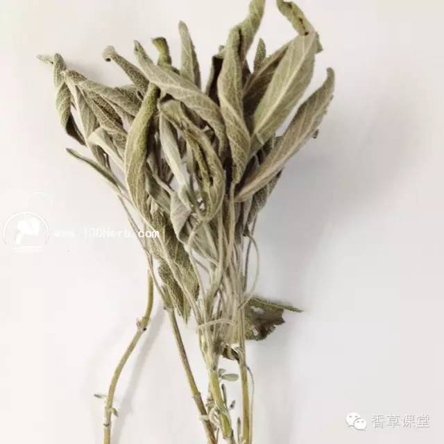 自制干香草,怎样才能让香草保持浓郁的芳香?