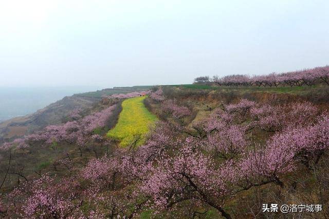 洛阳洛宁:涧口乡桃花岭