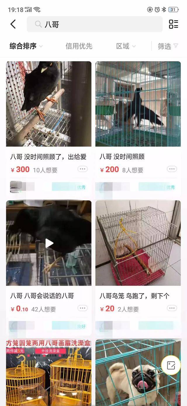 原味内裤?从万能的淘宝,到万能的闲鱼