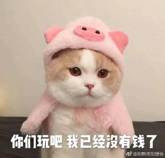 形容自己穷的表情包:五块钱如何花三天
