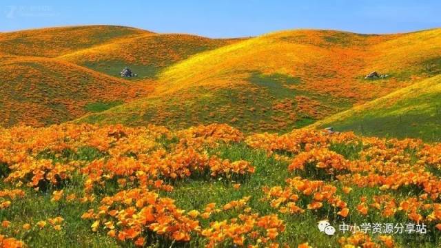 中考英语50组重点词语辨析,背会秒杀所有词汇