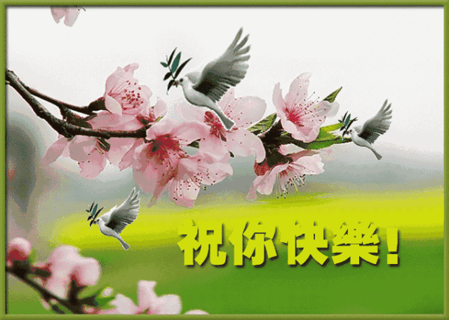 早上好刚制作的《春天相册》实在是太美太漂亮了送给我最亲爱的群友们