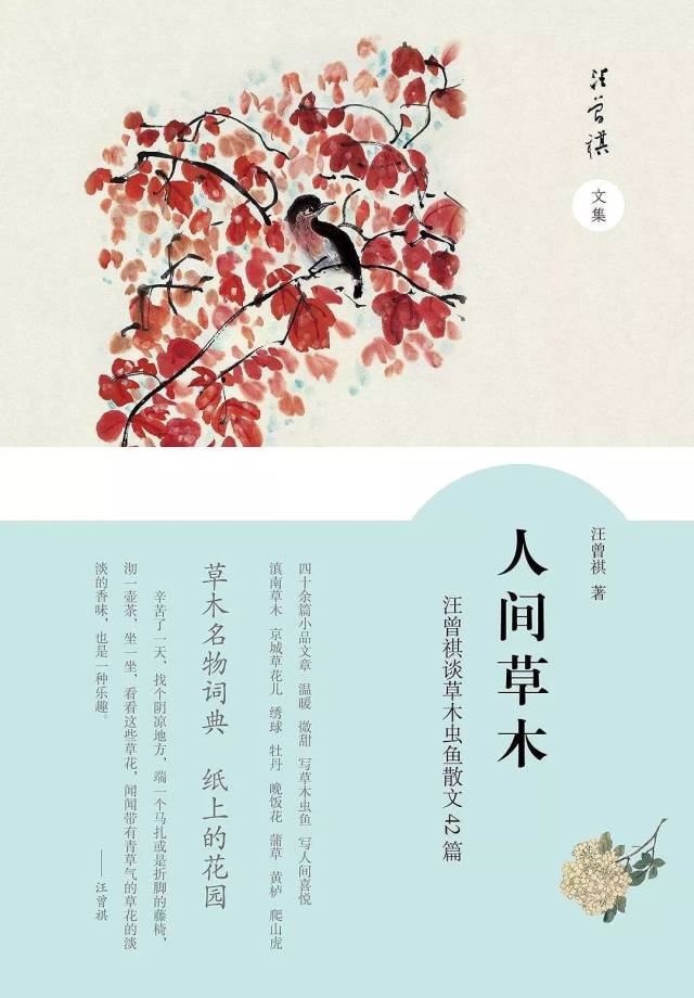 六,《人间草木》--汪曾祺