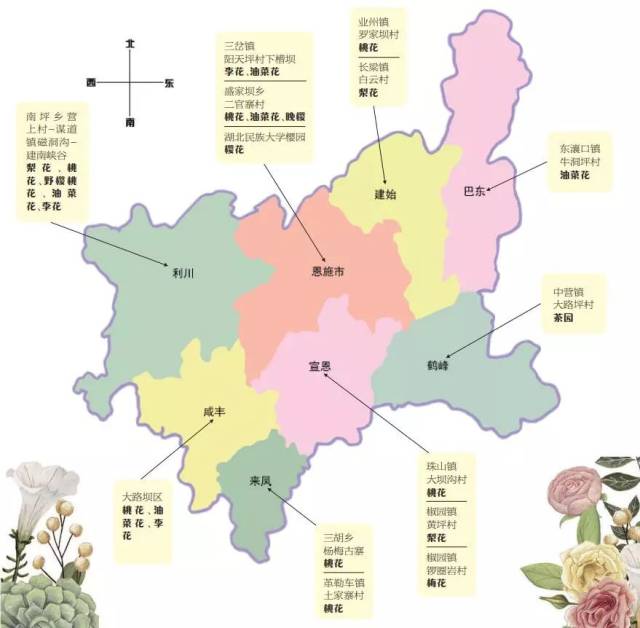 统统不要门票!恩施8县市花海美翻了,地图,路线拿走