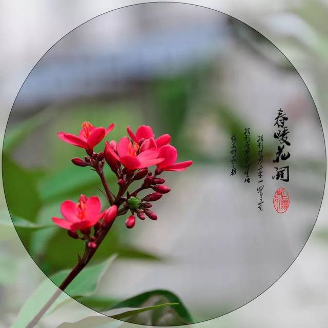 崇明区公益乐学四月第二期课程